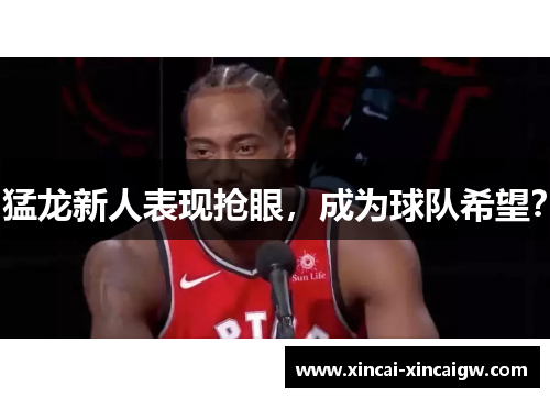 猛龙新人表现抢眼，成为球队希望？