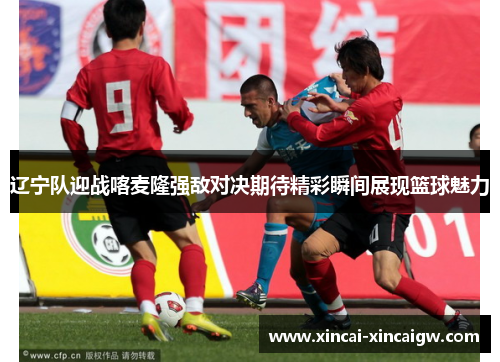 辽宁队迎战喀麦隆强敌对决期待精彩瞬间展现篮球魅力